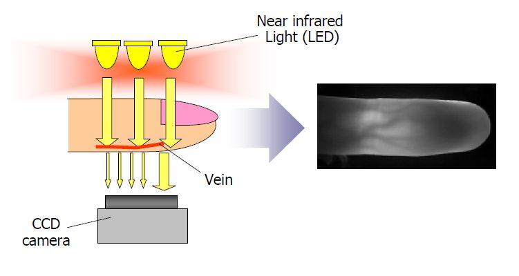 ����������� ���������